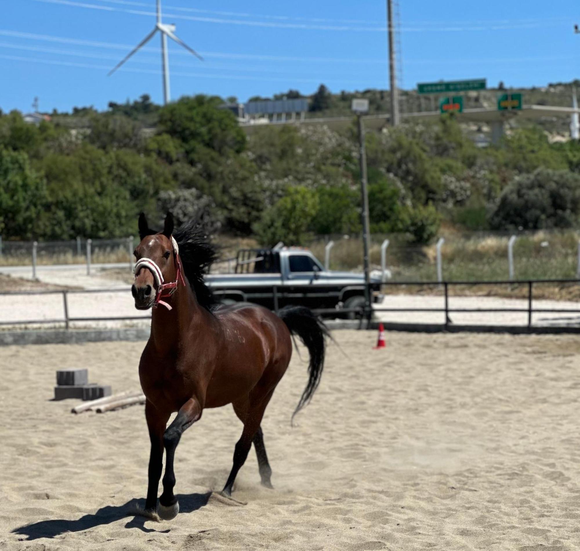 Ride And Stay Çeşme Exteriör bild