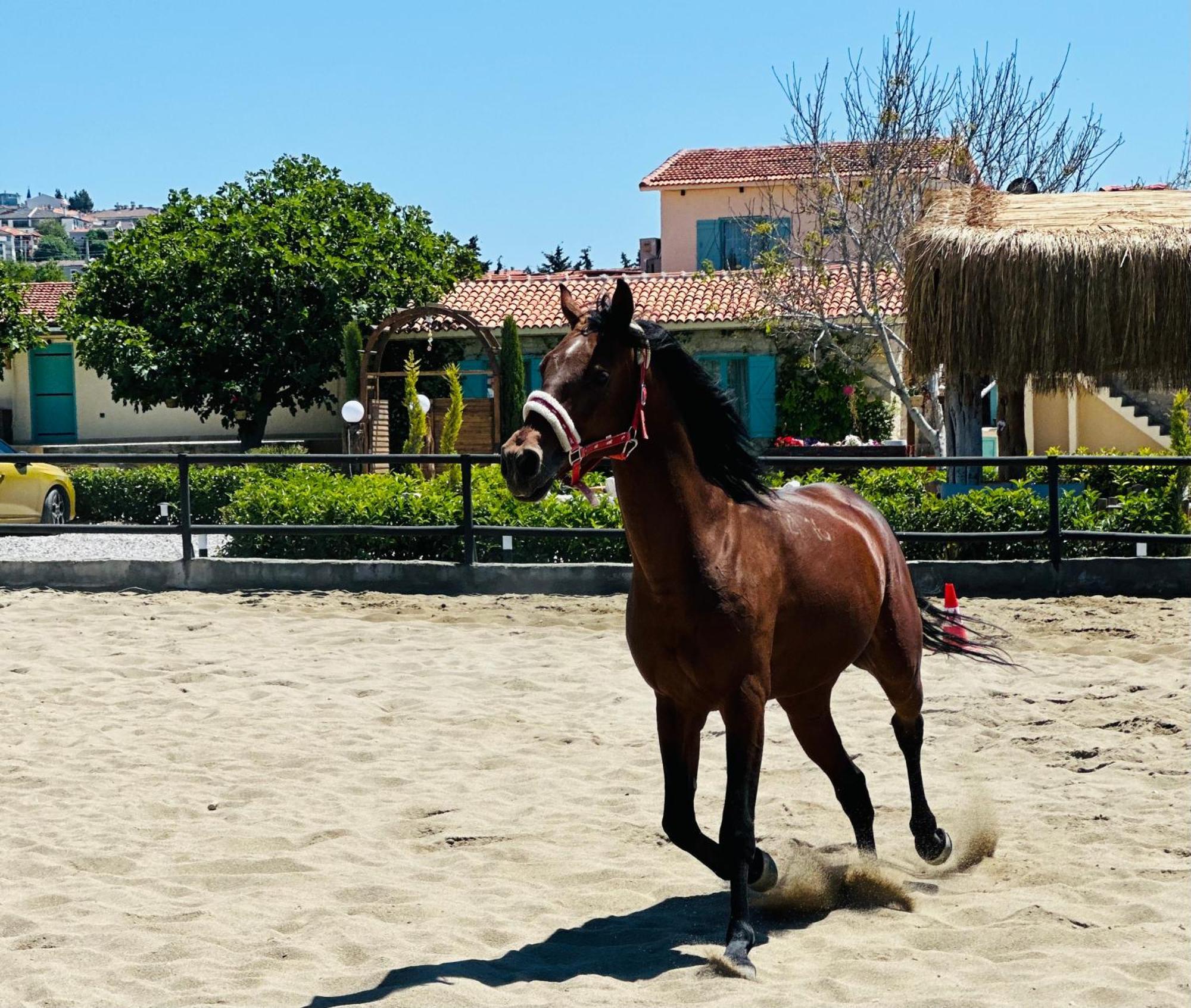 Ride And Stay Çeşme Exteriör bild
