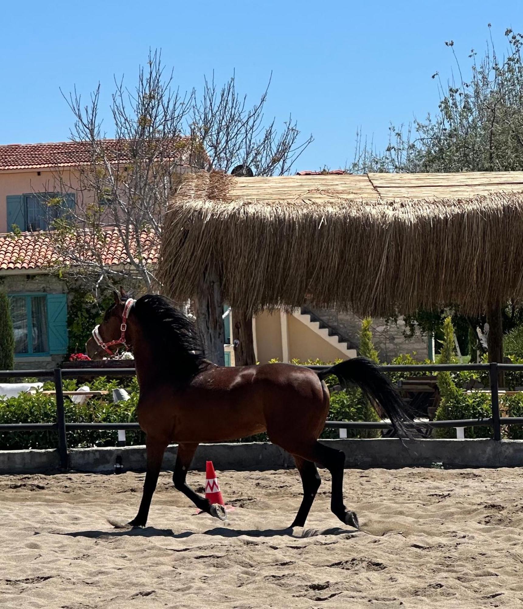 Ride And Stay Çeşme Exteriör bild